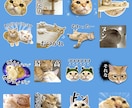 ペット、お子様のお写真でLINEスタンプ作ります 可愛くシュールに！アレンジしてお作りします。 イメージ9