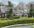 もやもやの言語化をサポートします 行政機関で働く社労士がもやもやを聞きます イメージ1