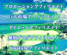 20種のアフィリエイトマニュアルを提供します 脱サラしたい方、スキマ時間にアフィリエイトで稼ぎたい方へ イメージ5