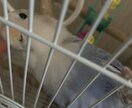 皆様のお悩みご納得いくまでご鑑定いたします お電話だと不安、障がいを持たれている方でもご利用できる イメージ2