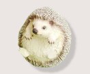 即日2枚500円で画像を綺麗にくり抜き編集します 写真や画像を綺麗にくり抜き画像にします！ イメージ1