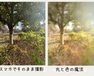 スマホ写真をSNS映えするアートに仕上げます 光と色を引き出すレタッチで、写真を作品に変えます。 イメージ10