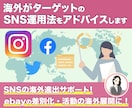 1か月間徹底的に海外向けSNS運用のコンサルします 他との差別化・活動の海外展開・収益化を目指す運用をご提案 イメージ1