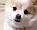 人生相談します 演歌歌手があなたの、お悩み本気で解決します。 イメージ2