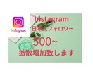 日本人Instagramフォロワー拡散増加します 日本人Instagramフォロワー増やせます イメージ1
