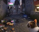 動物視点の没入体験動画を制作します 臨場感ある視点で印象に残る映像を制作します イメージ5