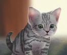 ペットや動物を魅力的な挿絵風イラストにお描きします 〜A4◎書籍・ノベルティの挿絵、SNSアイコン・ヘッダー等に イメージ2
