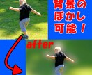 30枚納品／画像＆写真の透過・白抜き仕上げます 背景の透過や白抜き・切り抜きを行います！ イメージ4