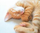 朝までグッスリ！眠る　やさしいヨガレッスンをします 「最高の睡眠」で人生を最高に！ イメージ2