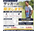サッカーのちょっとした悩み、解決します 南米リーグ/Jリーグの経験からあなたの「モヤモヤ」を解決！ イメージ1