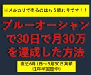 物販経験者必見！ブルーオーシャンの市場を暴露します メルカリやAmazonで販売する方法はもう終わりです！ イメージ2