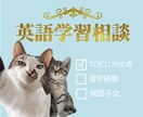 純ジャパTOEIC950点が英語学習の相談乗ります 英語の勉強をしているのに上達しない方！一度ご相談ください！ イメージ1