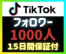 TikTokフォロワー1000人増やします ⭐納品後15日以内に減少が見られた場合1度限り補填可能 イメージ1