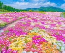 どんなお悩みでも真剣に聞きます 特に仕事や恋愛、心の悩みなど話してみてください。 イメージ1