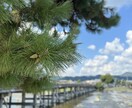 SNSがバズる画像を提供します お洒落な風景写真でバズを作ろう！ イメージ2