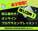 初心者向けにプログラミングレッスンをします マンツーマン指導で１からWEBサイト作成まで安価に提供します イメージ1