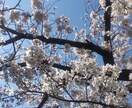 話し相手になります 今この話を誰かに聞いてほしい方お気軽にどうぞ イメージ1