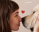 ペットの気持ちリーディングします ペットの本音・必要としてる事・心と感情のリーディング イメージ1