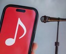 ライト版★プロがあなたの歌唱と声を診断します 気軽に客観的評価が知りたい方へ！診断表をPDFでお渡しします イメージ3