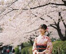 スマホでOK！成果の出る動画づくりに伴走します 起業初期でも安心！動画で届ける力を一緒に育てます イメージ8