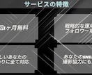 SNS運用代行｜集客＆売上UPをサポートします SNSで集客＆売上UP！投稿・動画編集もお任せ イメージ2