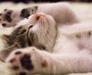 全部吐き出して◎あなただけの相談相手になります 1分~OK◎一人で抱えないで。そっと話してみませんか？✨ イメージ7