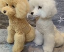 あなたの愛犬をリアルなお人形に変身させます 大切で愛おしい愛犬のお人形を羊毛フェルトで制作致します。 イメージ2