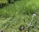 フランチャイズへのアドバイスをします 現在私がやっているフランチャイズビジネスのお話をします。 イメージ1