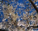 少しでもプラスになれるように非力ながら力になります 思いやりの少ない時代だからこそ、一人でも多くの人の力に。 イメージ4
