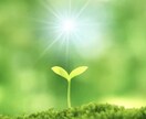 あなたの持って生まれた才能を鑑定します 【期間限定お試し価格】あなたの持って生まれた才能を鑑定します イメージ1