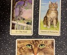 うちのねこから今あなたに必要なメッセージを届けます 宇宙からねこカードを通して降りてくるメッセージ イメージ1