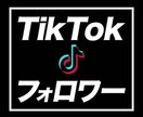 TikTokのフォロワー【3000人】増やします TikTok集客・フォロワー増やし・宣伝・拡散手伝います！ イメージ1