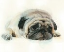 ふんわりやさしい水彩画でペットの似顔絵を描きます ｜インテリアやプレゼントに ｜犬・猫・小動物や鳥さんもOK♪ イメージ1