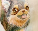水彩画であなたの大切なペットの似顔絵お描きします 背景や小物描き込みできます！小動物もOK！ イメージ5