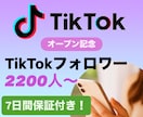 TikTokのフォロワー2200人〜増やします ＜＜オープン特典として＋200人追加中！＞＞ イメージ1
