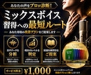 発声特訓！読んで実践！ミックスボイス習得させます プロがミックスボイスを習得に必要な知識を解説した資料を提案！ イメージ1