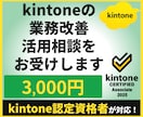 kintoneの業務改善・活用相談をお受けします 単発30分のビデオ相談で課題整理・改善方法をご提案します イメージ1