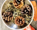 商品の魅力を伝えます あなたの商品にあったイメージ写真や動画を一緒に作りましょう イメージ4