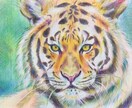 あなたの大切な人、ペットを絵画にします 色鉛筆画　ポストカードサイズです。心を込めて制作致します。 イメージ9