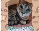 なんだか考えて眠れない…そんな夜にお付き合いします 初めまして！サラです。気分を変えるお手伝いします！ イメージ5