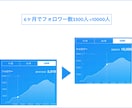 ツイッターのフォロワーUPサポートします 徹底的に分析&コンサルティング！丁寧にノウハウを教えます！ イメージ2