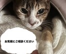 1分から。どんな些細なことも、お待ちしております よくある話だからと、小さなことだからと 諦めないでください。 イメージ2