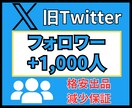 X(旧Twitter)フォロワー 千人増やします ★Xフォロワー＋1,000人～★ 拡散国：アジア★日本人多数 イメージ1