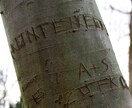 ドイツ・ベルリンでスナップ写真を撮影します ベルリン在住の写真家がディープな「ベルリン」を撮影します。 イメージ8