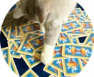 神秘的な猫達が、あなたにぴったりの1枚を選びます 猫の神秘的な直感が恋する心にやさしく光を灯します✴︎ イメージ4