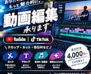 一つ一つの動画にぴったりのテロップを入れます 見やすく、伝わりやすい動画を制作します イメージ1