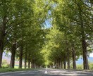 その時だけの話し相手になります あなたが話す内容はその時だけのものです。さらけ出しましょう。 イメージ1