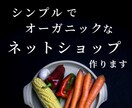 業界初！あなたのネットショップをライブで制作します ビデオチャットでその場で制作するから正確でスピーディー イメージ2