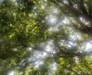 ただただお話し聞きます 人に言えない話から世間話までなんでも聞きます:) イメージ1