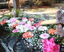 花や風景の写真販売します 癒されたい画像を使いたい方に！ イメージ2
